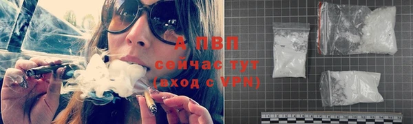 скорость Гатчина