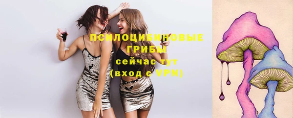 скорость Гатчина