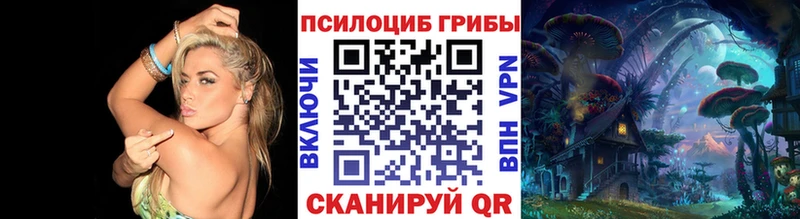 OMG ONION  Сасово  Галлюциногенные грибы ЛСД  что такое наркотик 